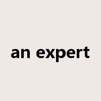 an expert是什么意思