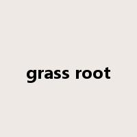 grass root是什么意思