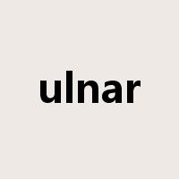 ulnar是什么意思