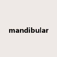 mandibular是什么意思