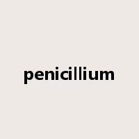 penicillium是什么意思