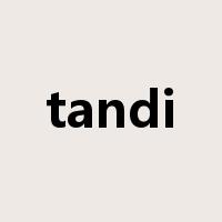 tandi是什么意思