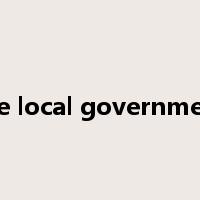 the local government是什么意思