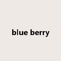 blue berry是什么意思