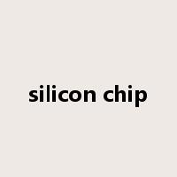 silicon chip是什么意思