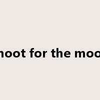 shoot for the moon是什么意思