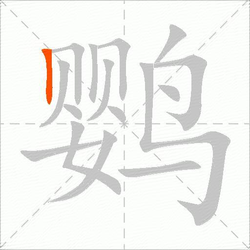 鹦