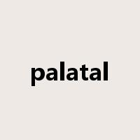palatal是什么意思