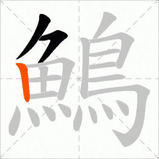 鷠