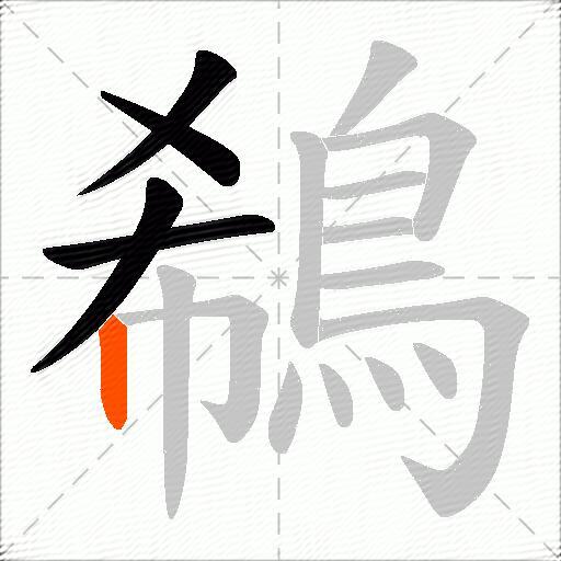 鵗