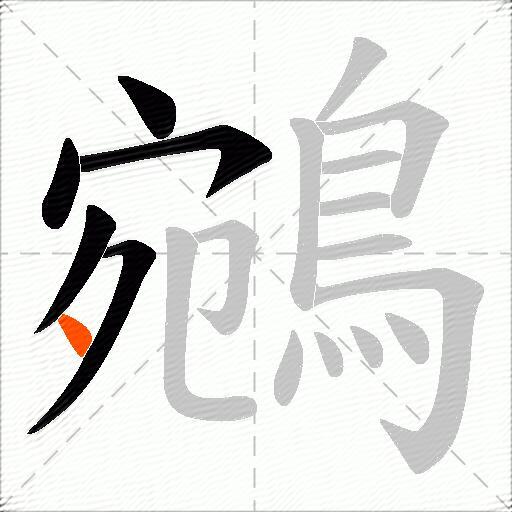 鵷
