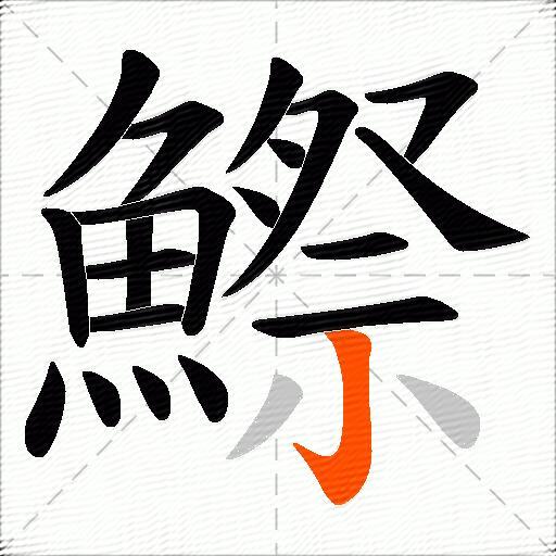鰶