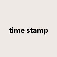 time stamp是什么意思