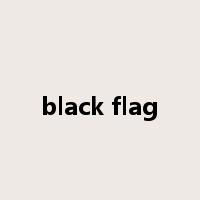 black flag是什么意思