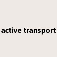 active transport是什么意思