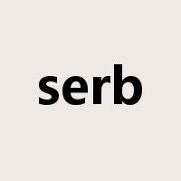serb是什么意思