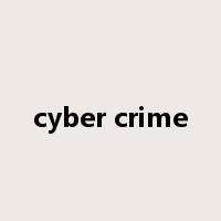 cyber crime是什么意思
