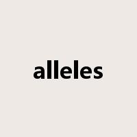 alleles是什么意思