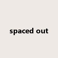 spaced out是什么意思