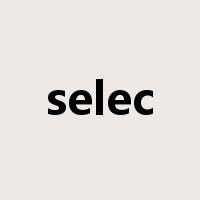 selec是什么意思