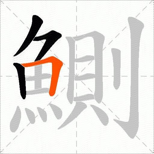鰂
