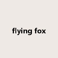 flying fox是什么意思