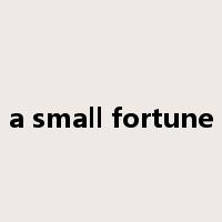 a small fortune是什么意思