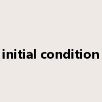 initial condition是什么意思