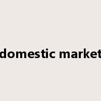 domestic market是什么意思
