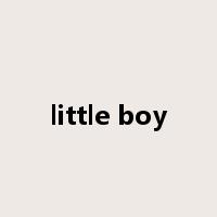 little boy是什么意思