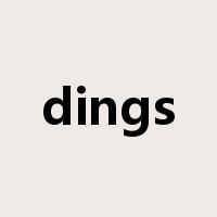 dings是什么意思