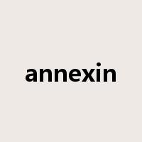 annexin是什么意思