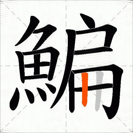 鯿