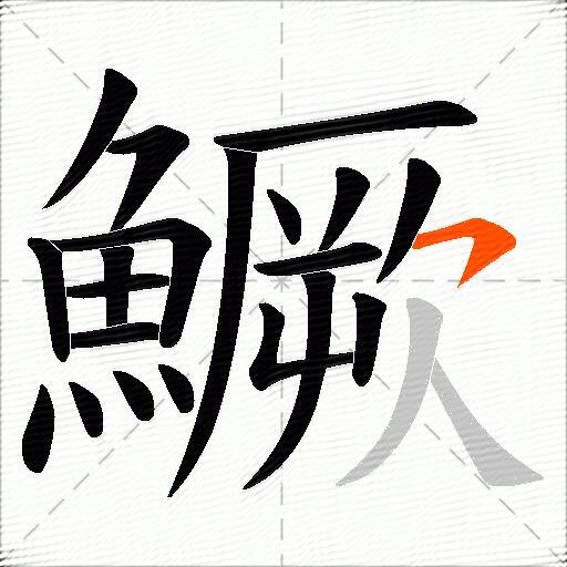 鱖