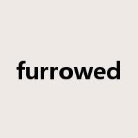 furrowed是什么意思