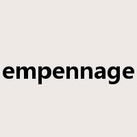 empennage是什么意思