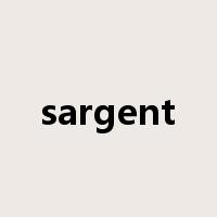 sargent是什么意思