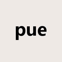 pue是什么意思