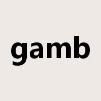 gamb是什么意思