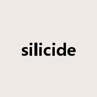 silicide是什么意思