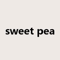 sweet pea是什么意思