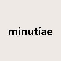 minutiae是什么意思