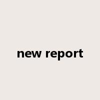 new report是什么意思