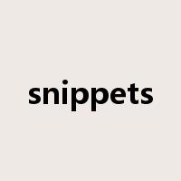 snippets是什么意思