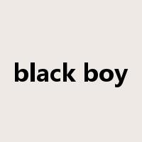 black boy是什么意思