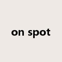 on spot是什么意思