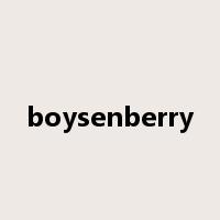 boysenberry是什么意思