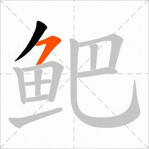 鲃