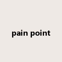 pain point是什么意思