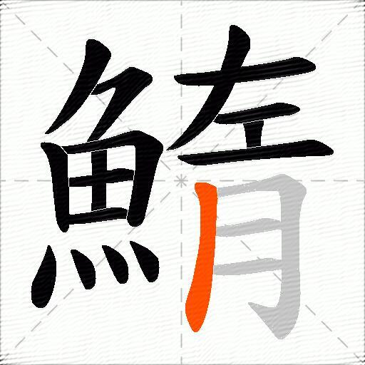 鰖